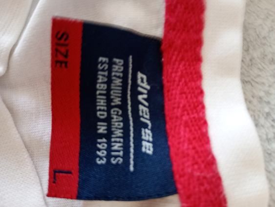 Koszulka męska Diverse