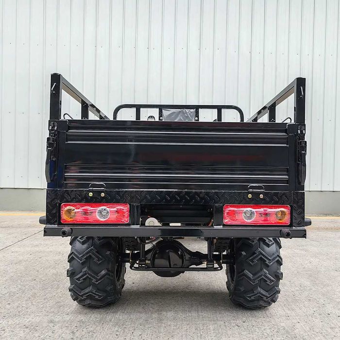 Квадроцикл вантажний FORTE ATV-250BS-T