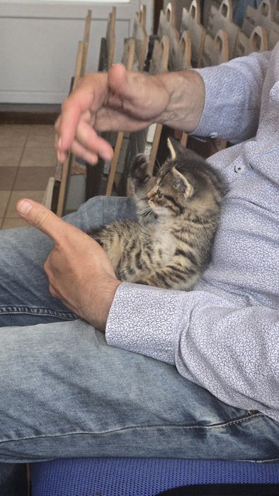 Миле Кошеня шукає сім'ю