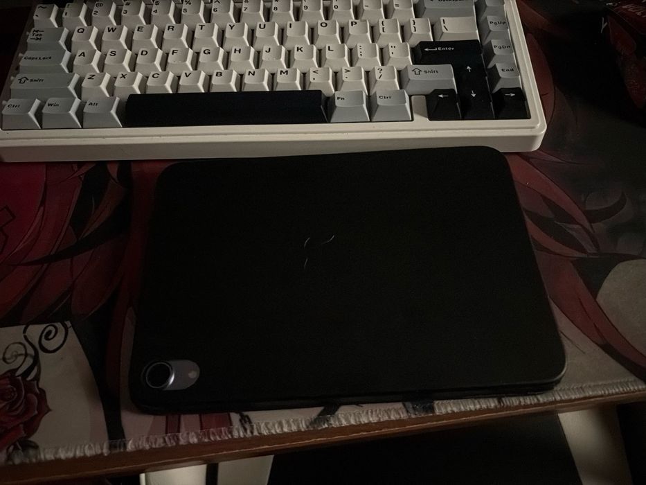 Ipad mini 6 256gb