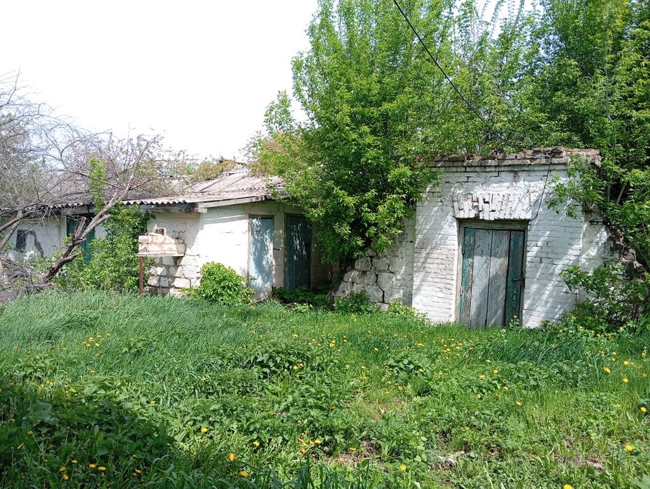 Терміново продам будинок с.Брівки,Житомирська обл.!