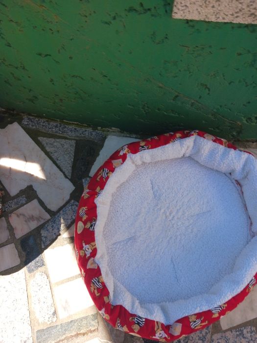 Cama muito bonita para cão ou gato nova