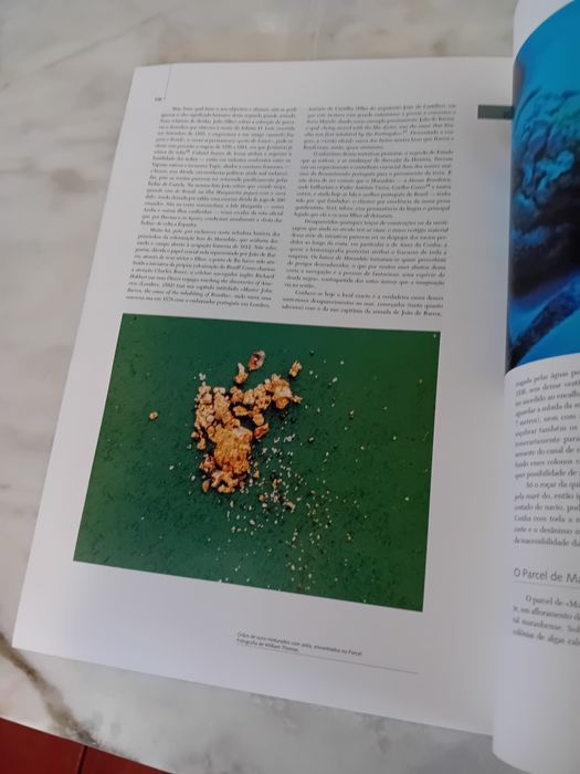 Livro/Revista Oceanos