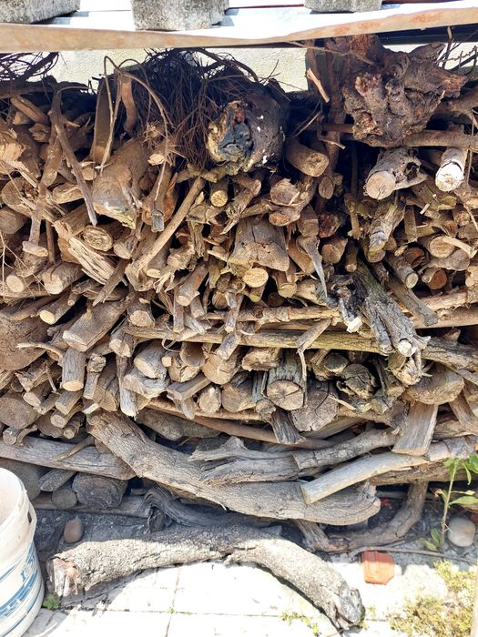 Lenha em forma de tronco