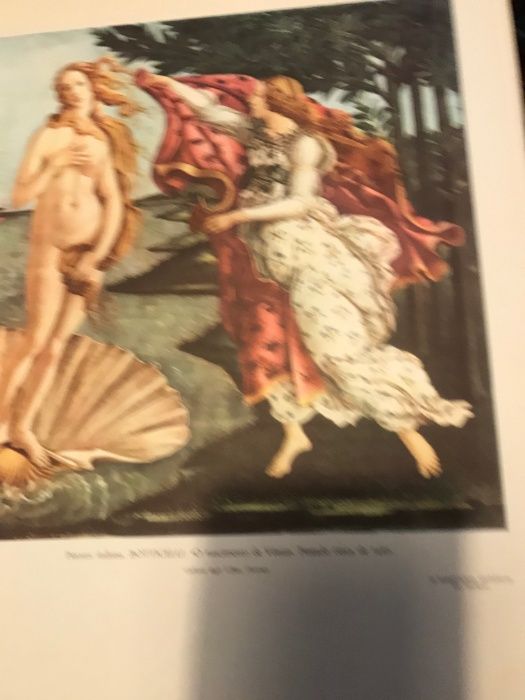 Reproduções pinturas e outros