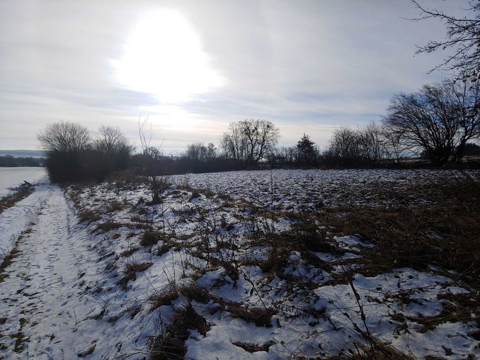 ДІЛЯНКА від ОЛЕКСАНДРА! ЗНИЖЕНА ЦІНА!!! Глинськ під забудову,33 сот.