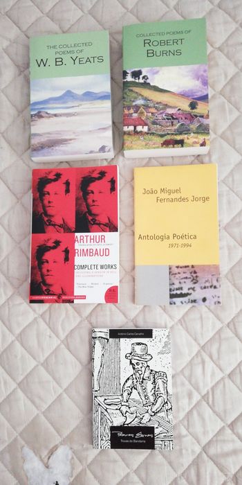 Livros de Poesia - Rimbaud, Pound, Goethe, Ovídio... (portes grátis)