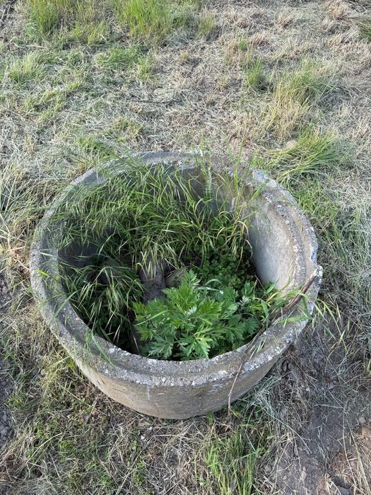 Kamienny krąg oddam za darmo