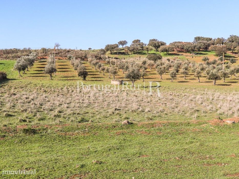 Terreno com cerca de 1,3Ha localizado próximo de Terena, Alandroal