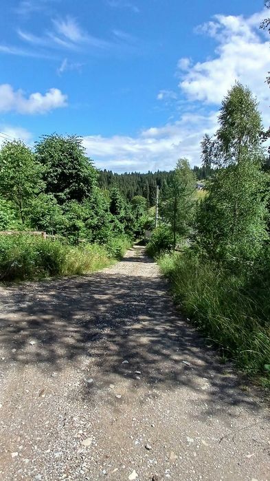 Ділянка під ГОТЕЛЬ в Карпатах (8 км від Буковелю) поблизу асфальтованої дороги