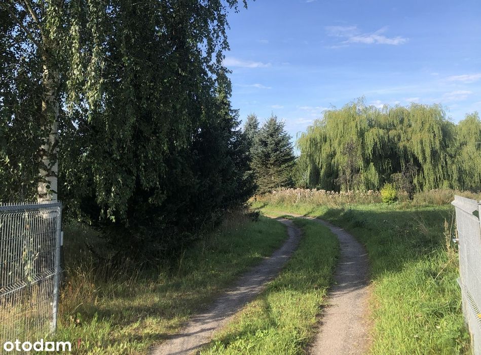 Dom w otoczeniu natury z dostępem do wody