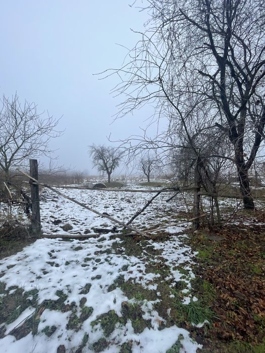 Земельна ділянка