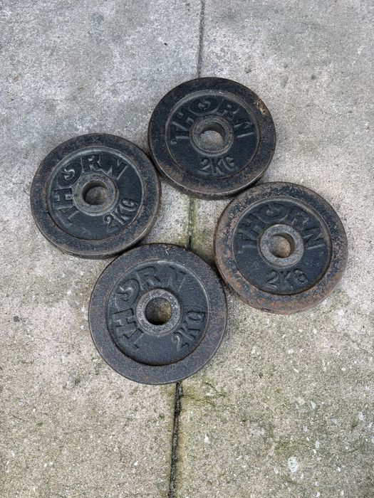Obciążenie Żeliwne Thorn 4x2kg Siłownia