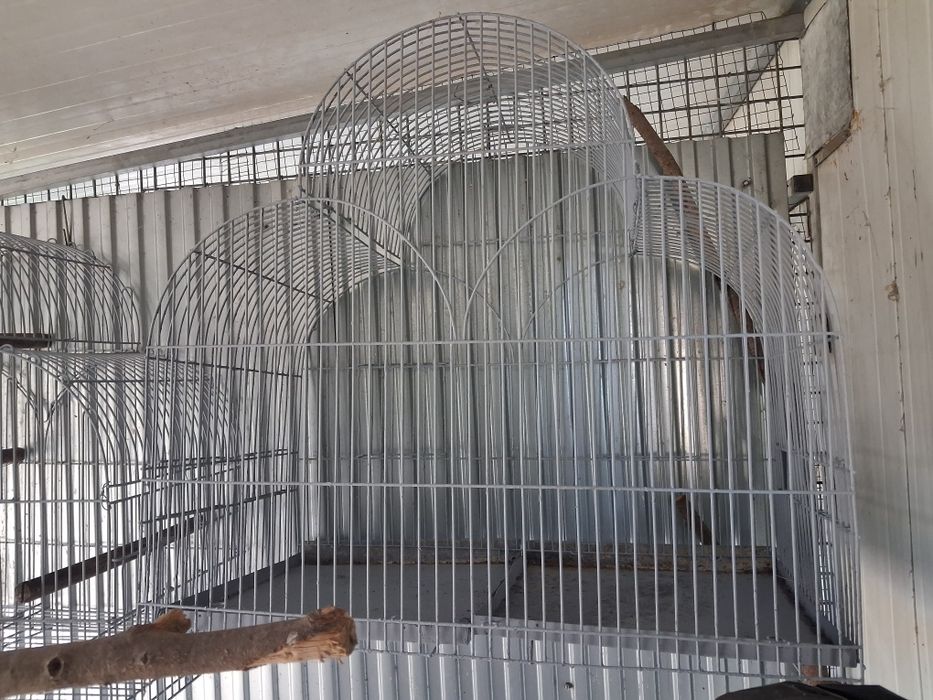 Gaiolas aves pequenas  e papagaios