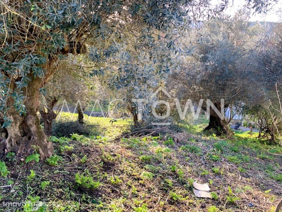 Procura um Terreno para construir em Torres Novas? Quer construir a... — Torres Novas (São Pedro), Lapas E Ribeira Branca, Santarém