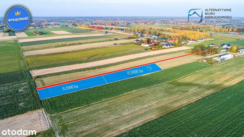 Działka rolna w Rudce Kozłowieckiej - View 5