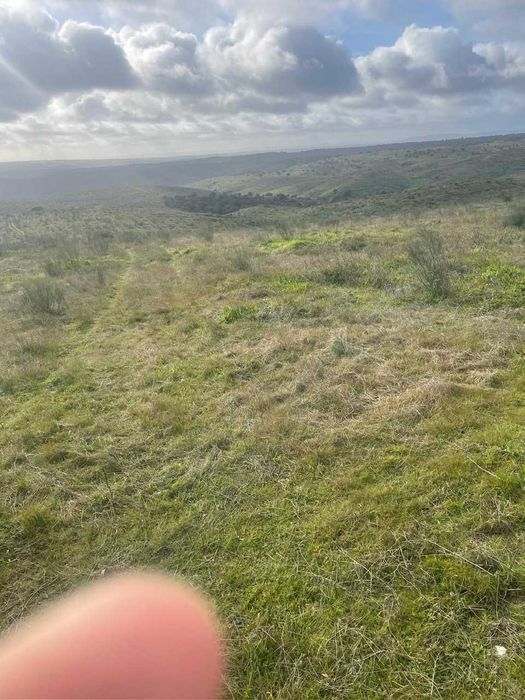 Herdade 30 hectares totalmente vedada