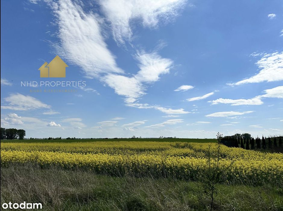 Działka budowlana nad jeziorem | Więckowice - Widok 5