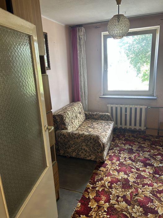 Zdjęcie 7
