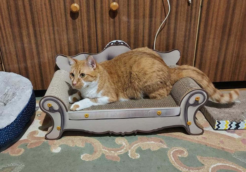 Drapak sofa dla kota legowisko kanapa do drapania zwierzęta kot