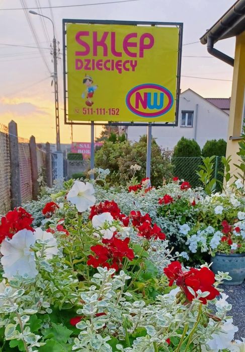 Carrello Bravo kolory 2026 SKLEP dla dzieci NW możliwe RATY
