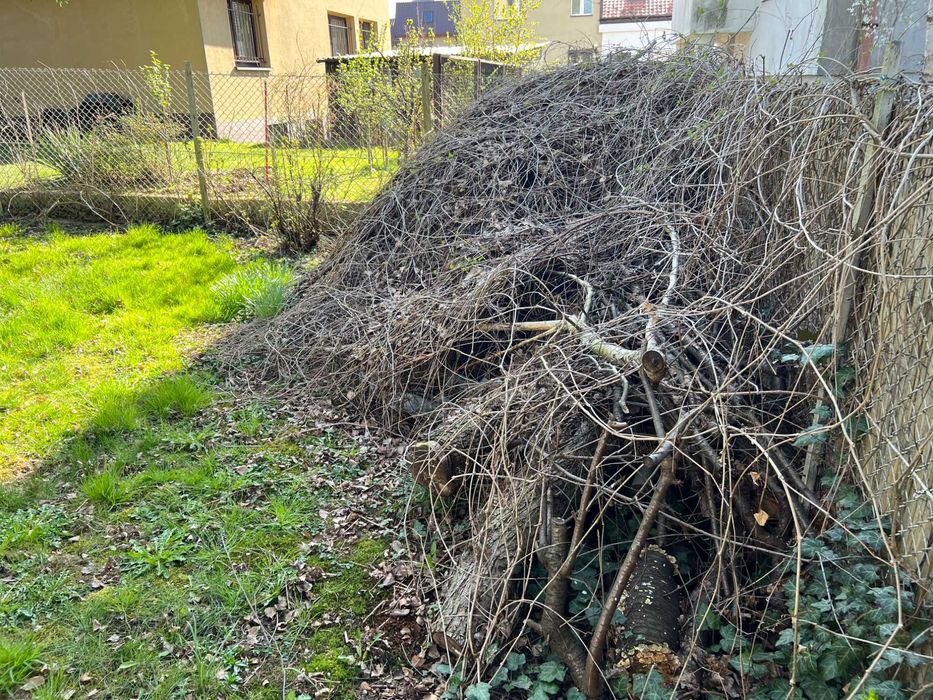 drewno z odpadków ogrodowych na opał