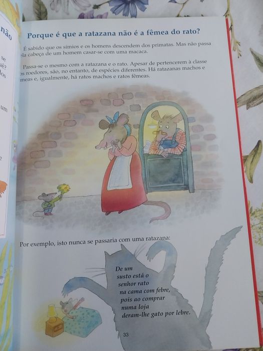 O porquê das coisas. Portes incluídos