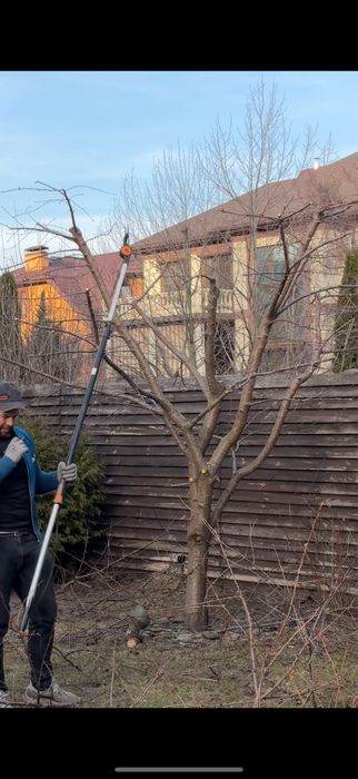 Обрізка плодових дерев, обрізка саду, обрізка кущів, обрізка дерев
