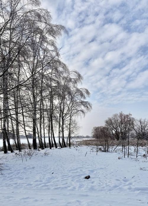 Земельна ділянка 1 Га! Макарів !