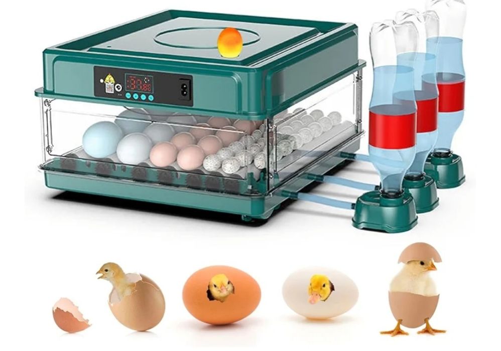 36 Incubadoras para Chocar Ovos, Incubadora de Ovos com Viragem Automática de Ovos e Reposição de Água, Garantia de Dupla Potência, Incubadora Domést.