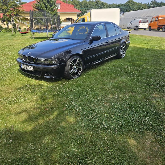 Bmw e39 535 xenon