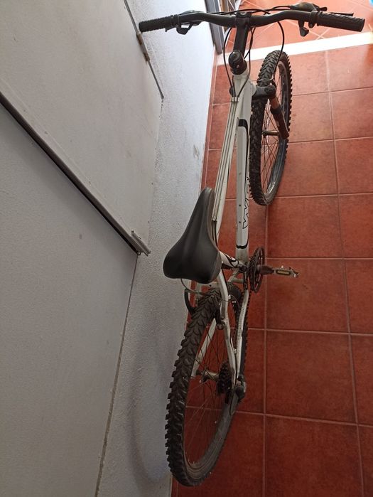 Bicicleta de adulto