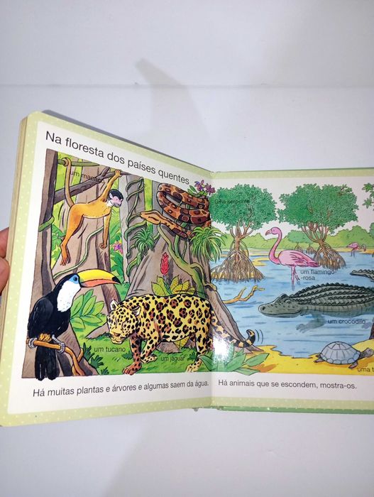 A Natureza - Dicionário por imagens dos pequeninos