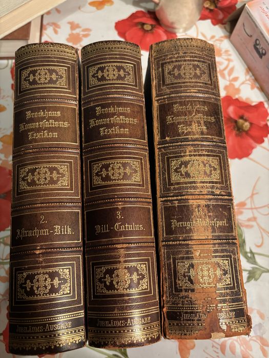 Старые немецкие книги 1894 год