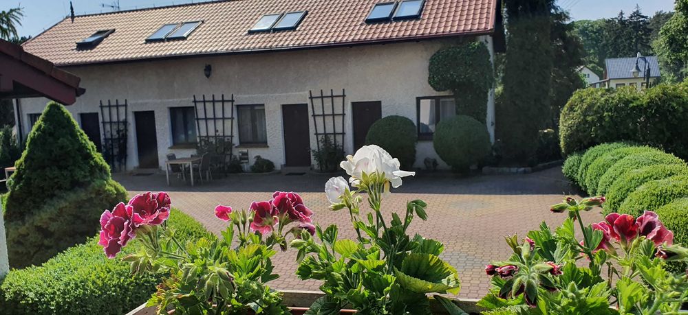 Pokoje  LAZUR -Wyspa Sobieszewska-nocleg Sobieszewo