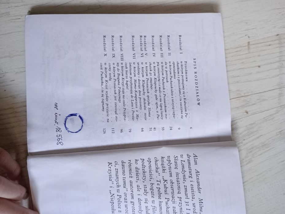 Kubuś Puchatek A.A. Milne