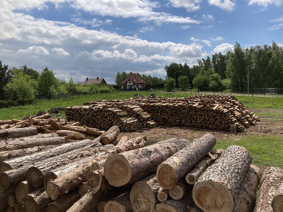 Drewno kominkowe/opałowe ‼️SUCHE‼️