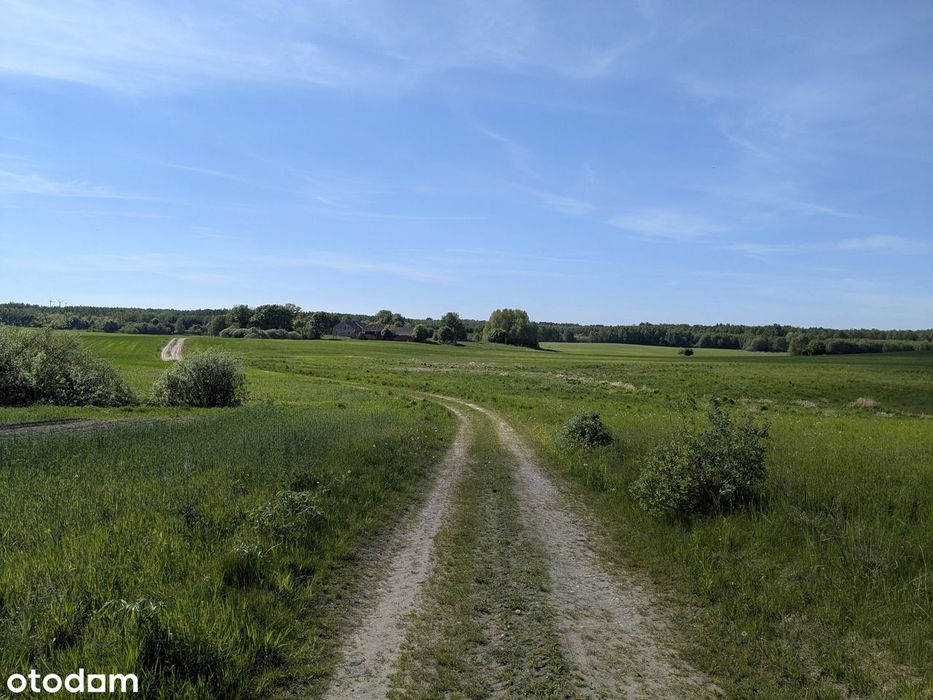 Tam gdzie kończą się sąsiedzi, a zaczyna natura