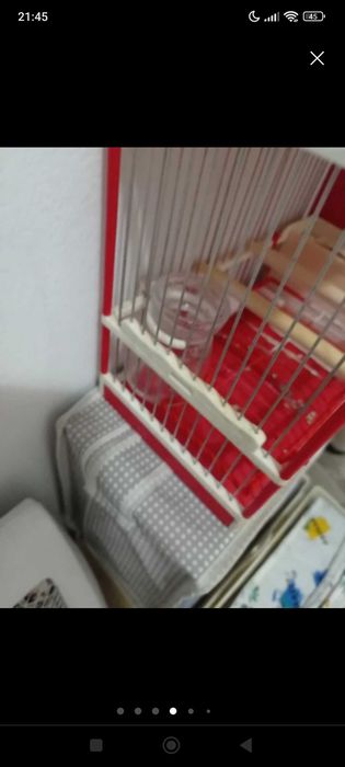 Gaiola C2 com muitos  acessórios