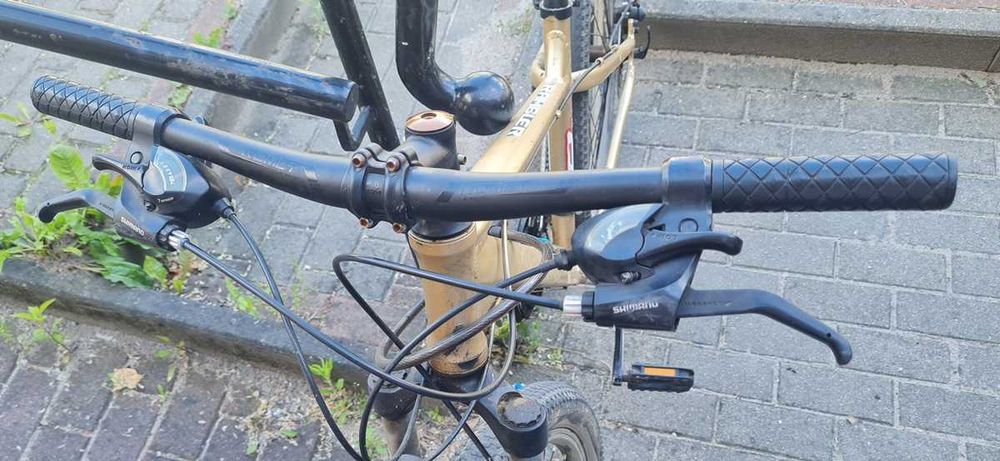 Rower Rambler R9L