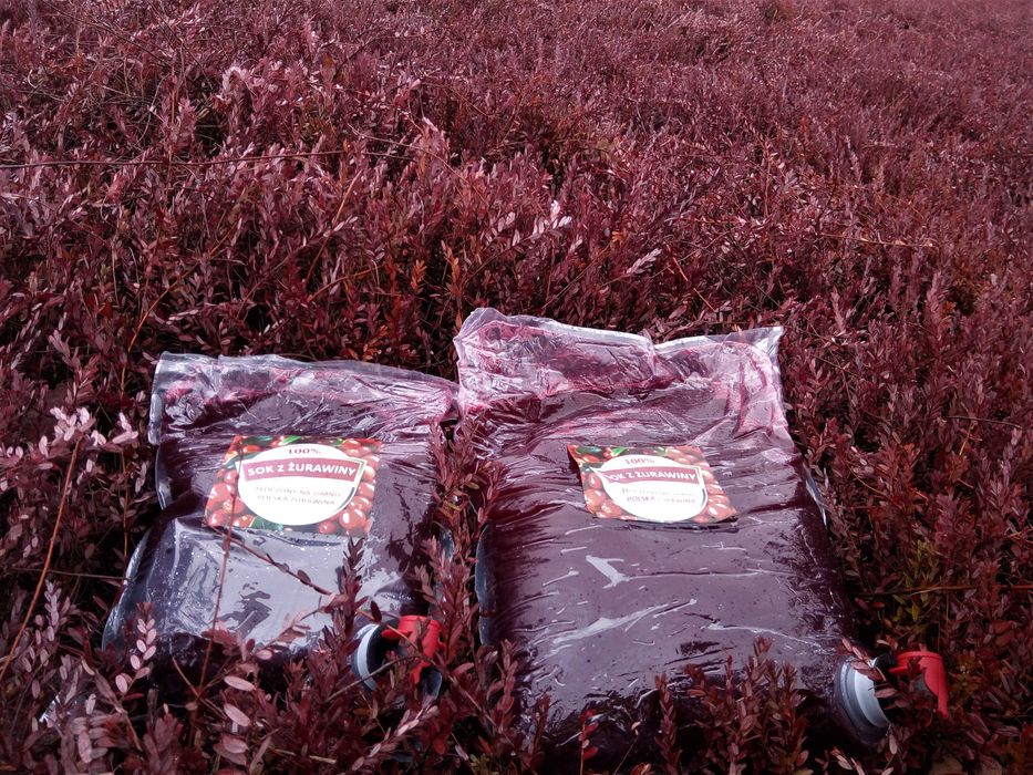 Sok z żurawiny 100% żurawina