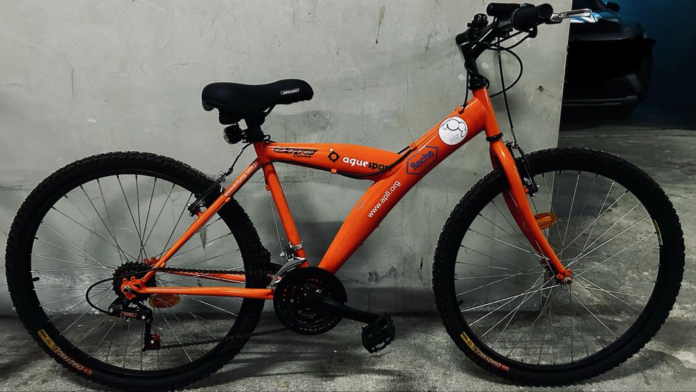 Bicicleta (para adulto - aro 26)