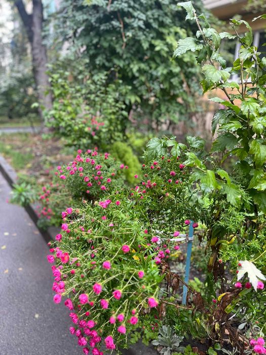 2-кімнатна квартира за адресою вул. Салютна (площа 46 м²) - Atlanta.ua - фото 9