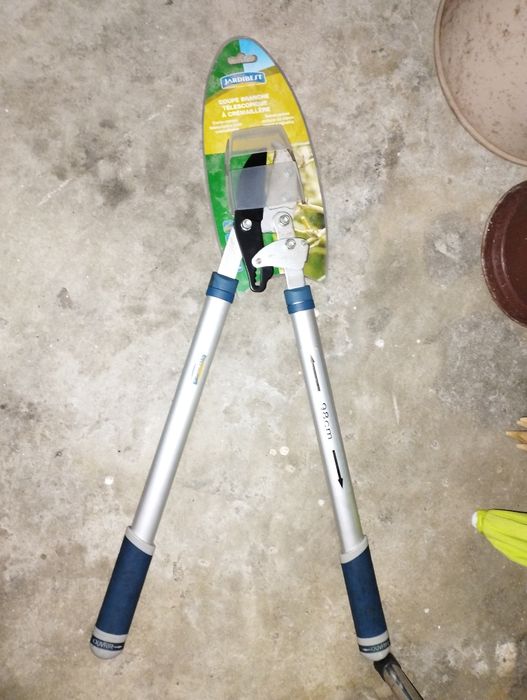 Corta Ramos telescópico