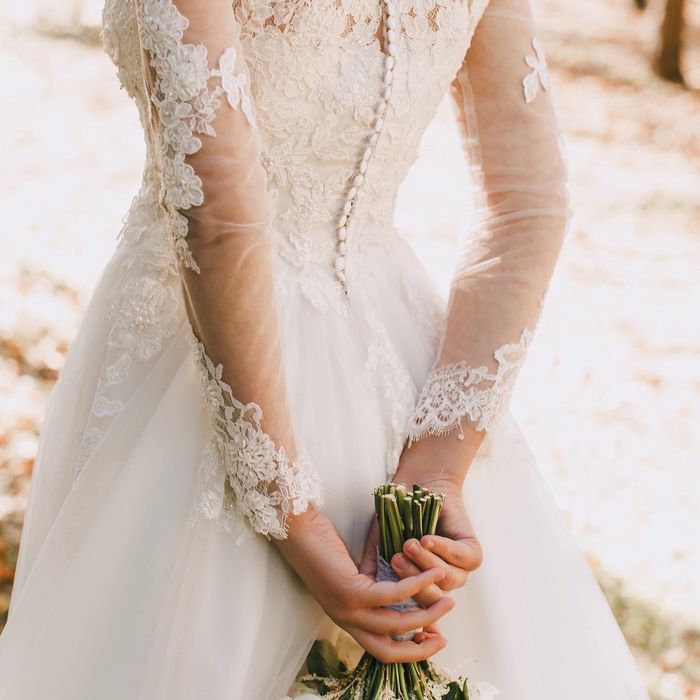 Весільна свкня зі шлейфом і фатою