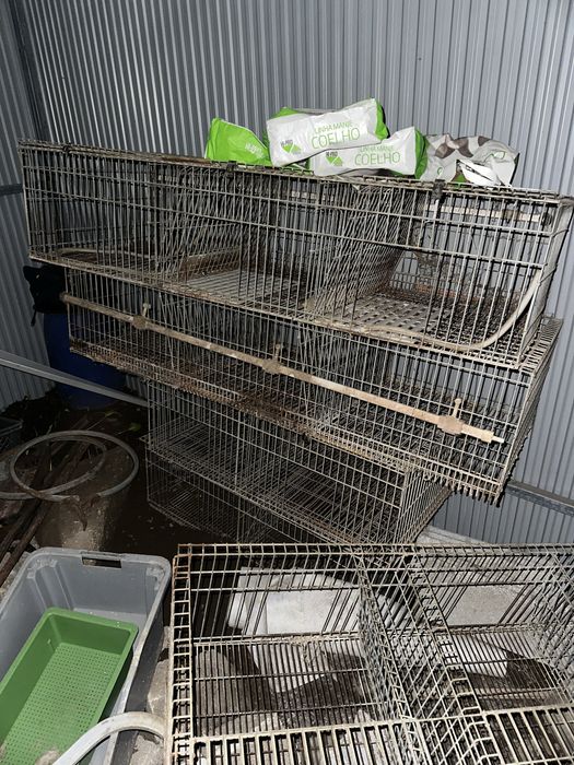 Coelheira / gaiola para coelhos