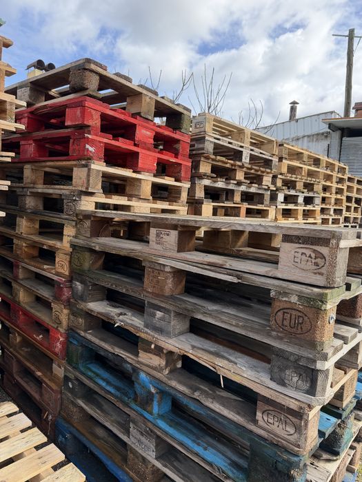 Paletes de todo o tipo de medidas