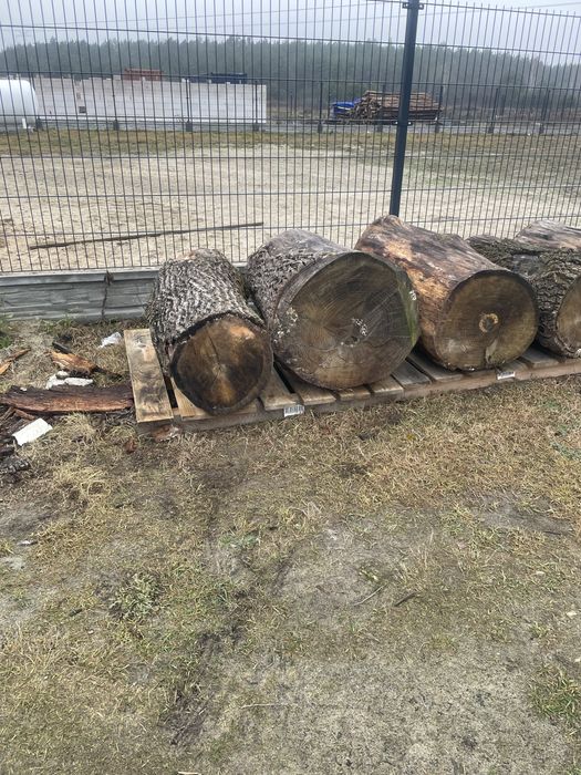 Sprzedam kłody dębowe