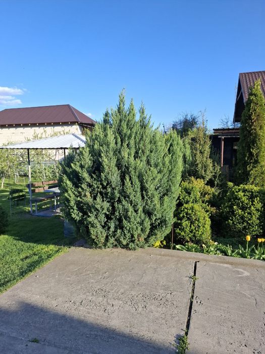 Оренда будинку/стоянки лодок з виходом в Київське море с.Страхолісся