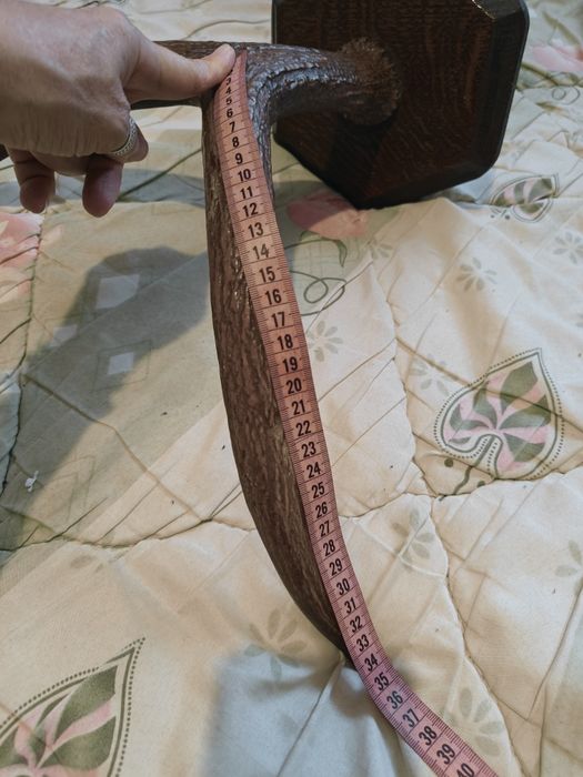 Рога оленя на дерев'яній основі